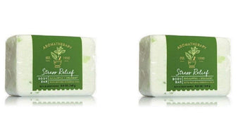 Bath & Body Works 2-Pack Stress Relief Body Bar - Eucalyptus & Spearmint