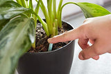 Miracle-GRO Indoor Plant Food Spikes