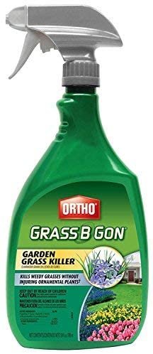 Ortho 0438580 Grass B Gon Garden Grass Killer Ready-to-Use, 24-Ounce (2)