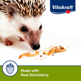 Sunseed Vita Prima Wigglers & Berries Hedgehog Treat - Mealworms for Hedgehogs - Small Animal Trail Mix Snack