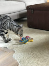 YEOWWW Rainbow Cat Toy