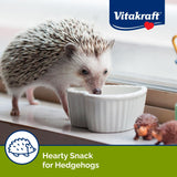 Sunseed Vita Prima Wigglers & Berries Hedgehog Treat - Mealworms for Hedgehogs - Small Animal Trail Mix Snack
