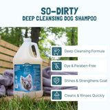Bio-Groom So-Dirty Dog Shampoo – Quick Rinse Pet Shampoo, Dog Bathing Supplies, Puppy Wash, Dog Grooming Supplies, Cruelty-Free, Made in USA, Shampoo for Smelly Dogs – 12 fl oz 1-Pack