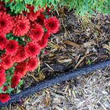 Gilmour 2 Pack - 50 Foot Flat Weeper/Soaker Garden Watering Hose