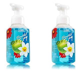 Bath & Body Works Gentle Foaming Hand Soap Beautiful Day (2 Pack)
