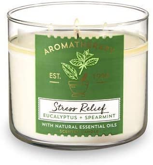 Bath & Body Works Aromatherapy Stress Relief, Eucalyptus + Spearmint Scented Candle