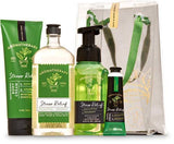 Bath and Body Works EUCALYPTUS SPEARMINT Aromatherapy Gift Bag Set - Body Cream - Body Wash & Foam Bath - Hand Soap and Hand Cream