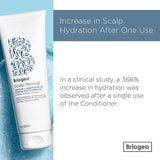 Briogeo Scalp Revival Charcoal and Peppermint Oil Cooling Jelly Conditioner, 8 Ounces