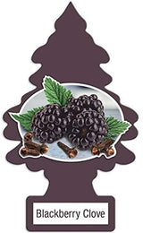 LITTLE TREES Car Air Freshener | Hanging Paper Tree for Home or Car | Blackberry Clove | Pack of 24